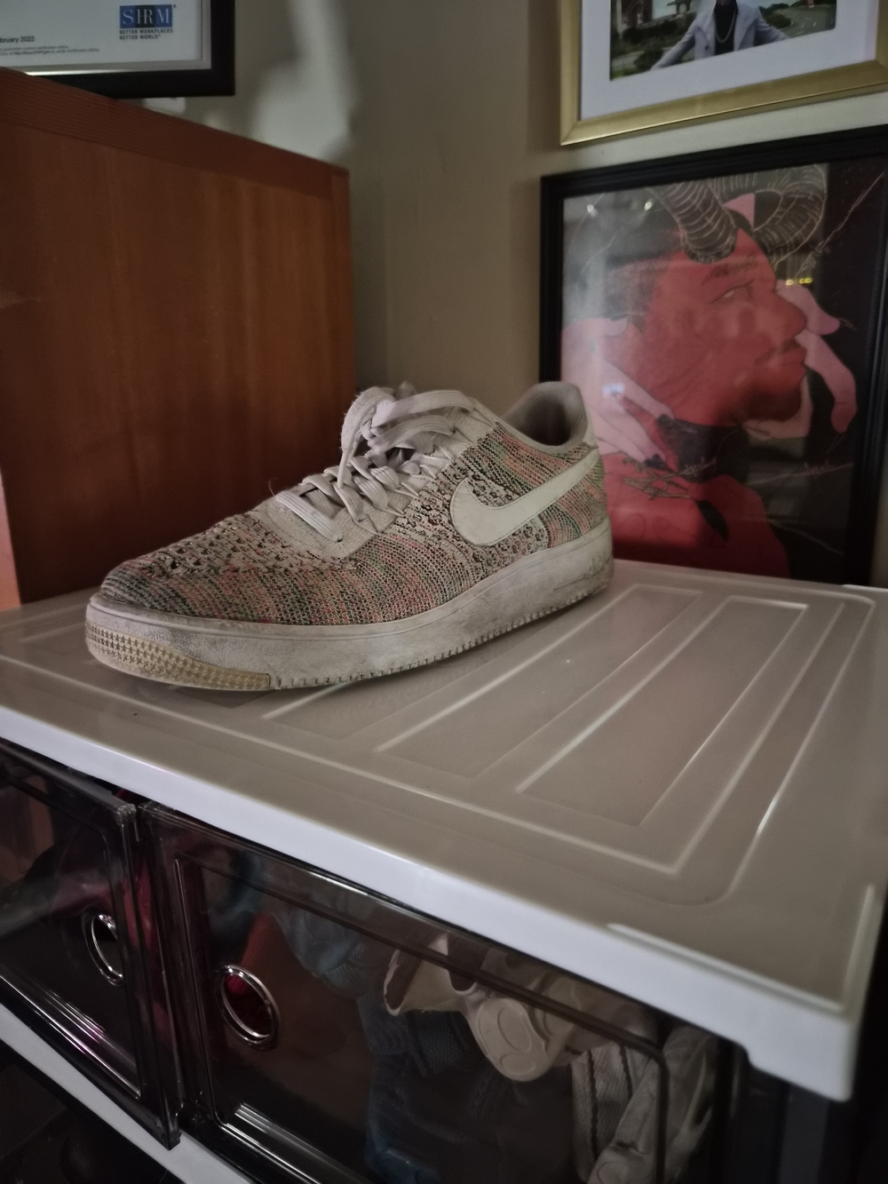 Nike Multicolor Flyknit Low-Top Sneaker with White Swoosh